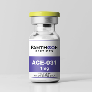 ACE 031